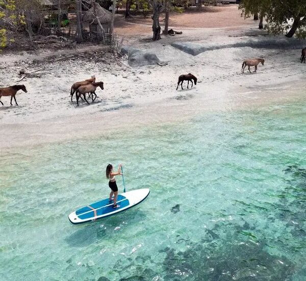 Rekomendasi 13 Wisata Nusa Tenggara Barat yang Punya Pesona Menawan