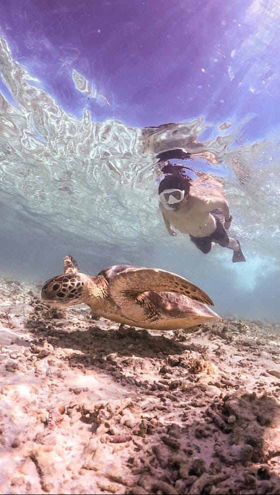 WhatsApp Image 2025 07 25 at 16.42.33_7a405a57